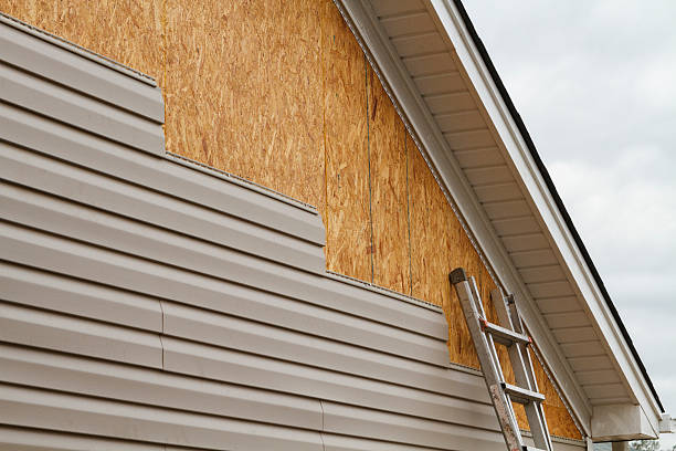 Professional Siding Inspection technician working in Lexington, TN